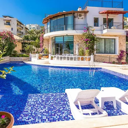 Safran County Kalkan